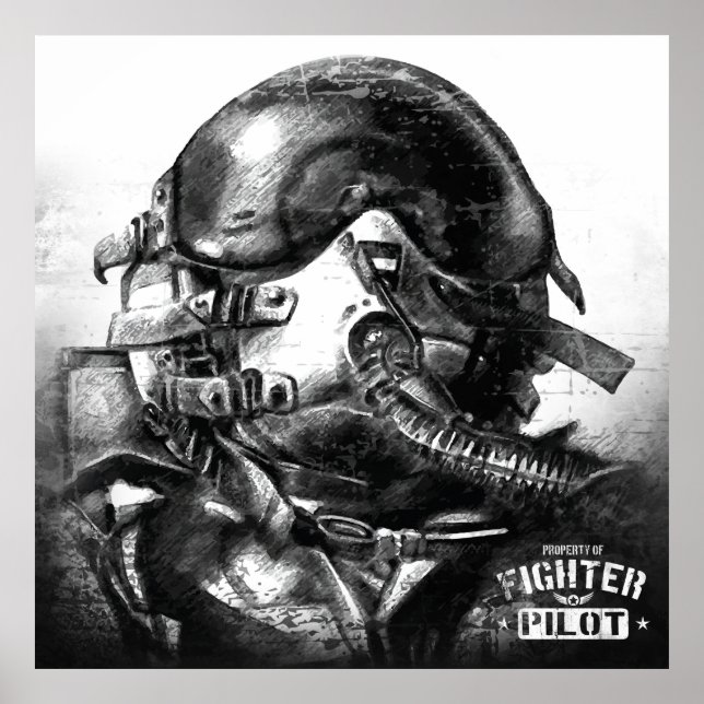 Poster Propriedade Do Piloto De Combatente (Frente)