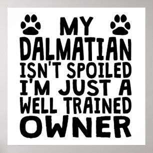 Póster Proprietário Dalmatian bem treinado