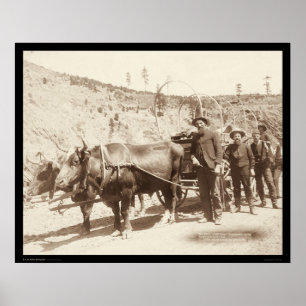 Poster Prospectors com febre Dourado SD 1889