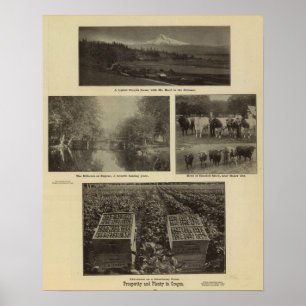Póster Prosperidade, abundância em Oregon