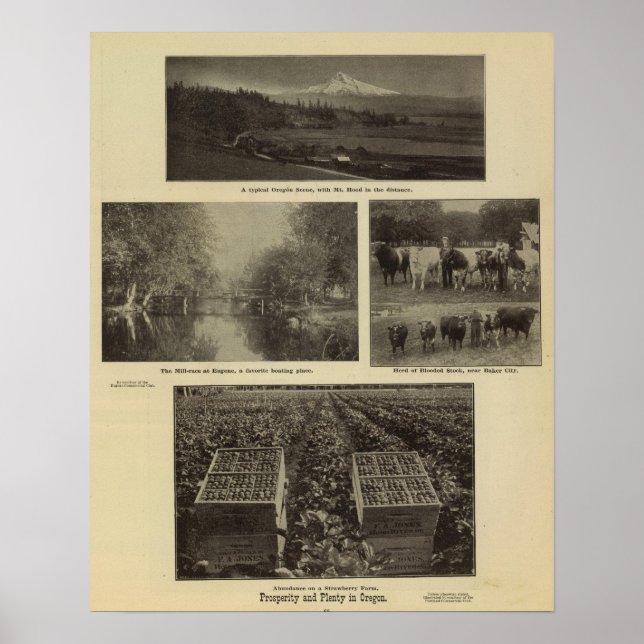 Póster Prosperidade, abundância no Oregon (Frente)