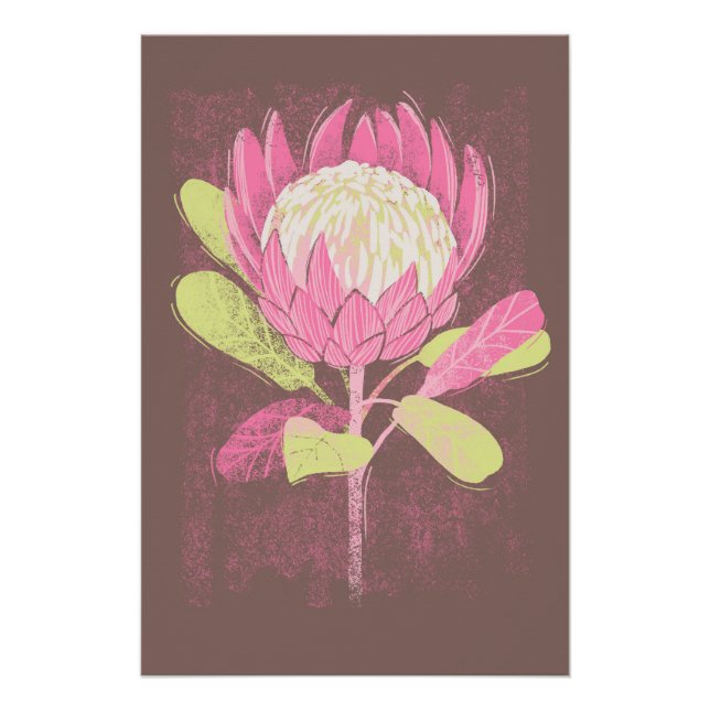 Póster Protea (Frente)