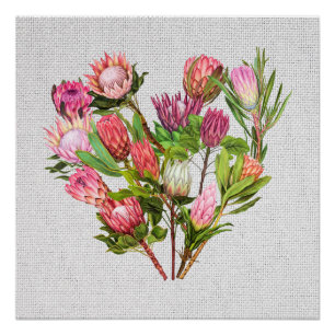 Póster Protea Poster