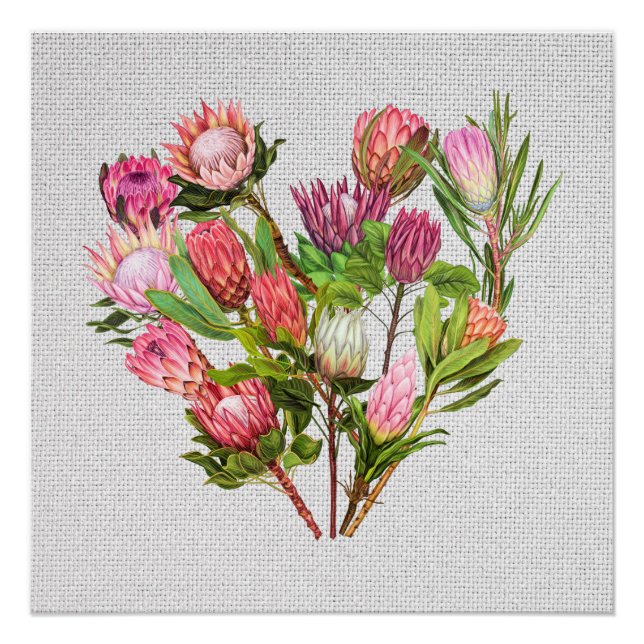 Póster Protea Poster (Frente)