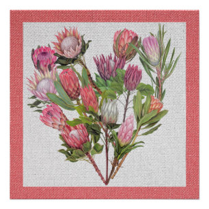 Póster Protea Poster