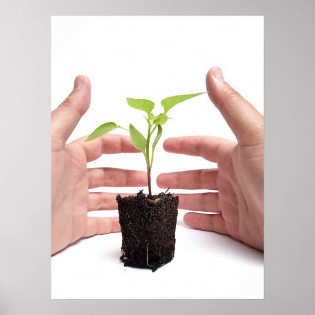 Poster Proteção ambiental (Frente)