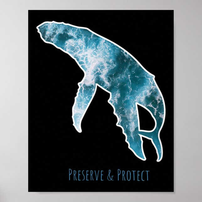 Poster Proteção ambiental da baleia para conservação da n (Frente)