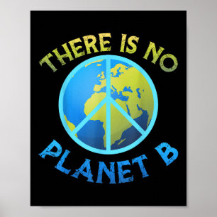 Poster Proteção Ambiental, Terra da Paz, Não Há