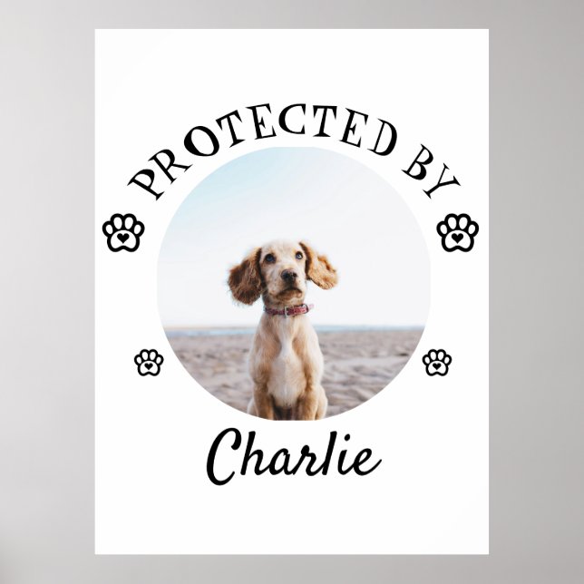 Poster Protected By Dog Photo Paw Print Design (Frente)