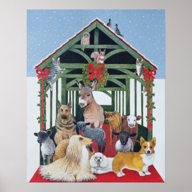 Póster Protegido (Frente)