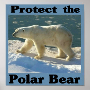 Poster Proteja o Urso Polar