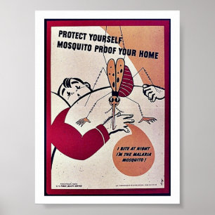 Poster Proteja-se prova do mosquito sua casa