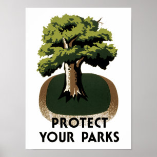Póster Proteja seus parques