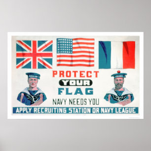 Poster Proteja sua bandeira - o marinho precisa-o