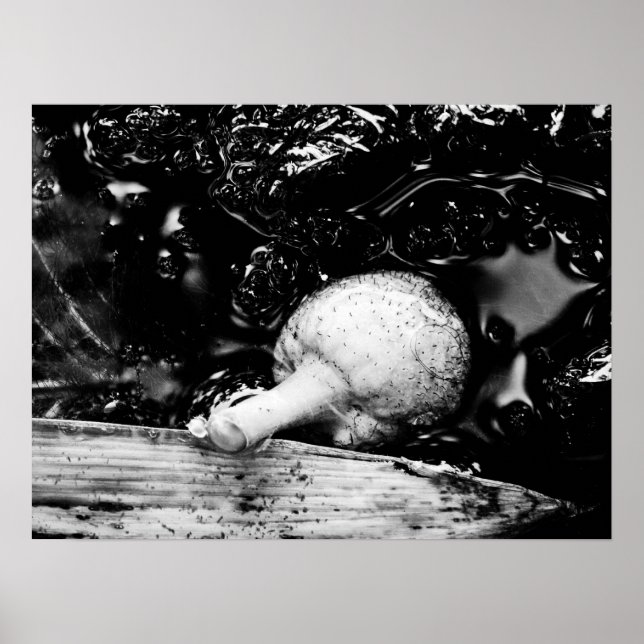 Póster protetor escuro (Frente)