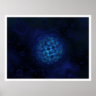 Póster Protista
