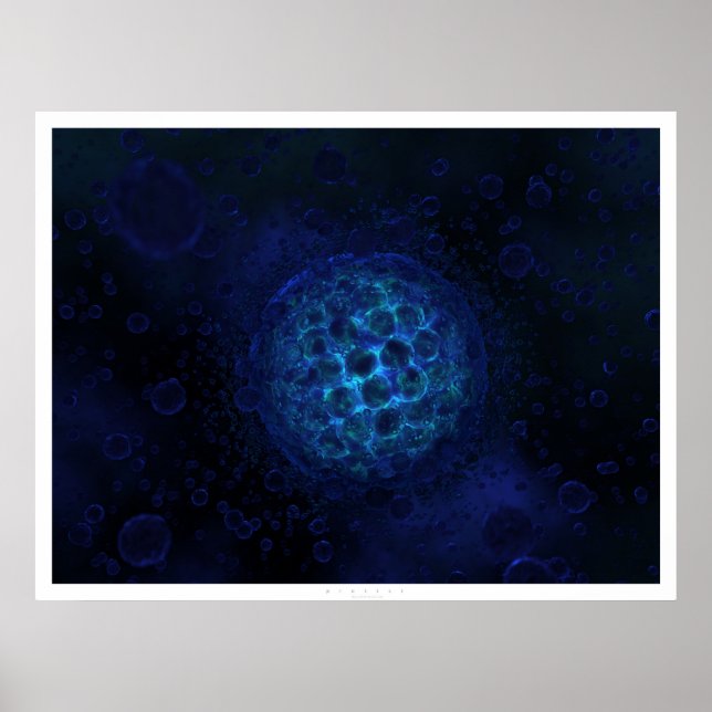 Póster Protista (Frente)