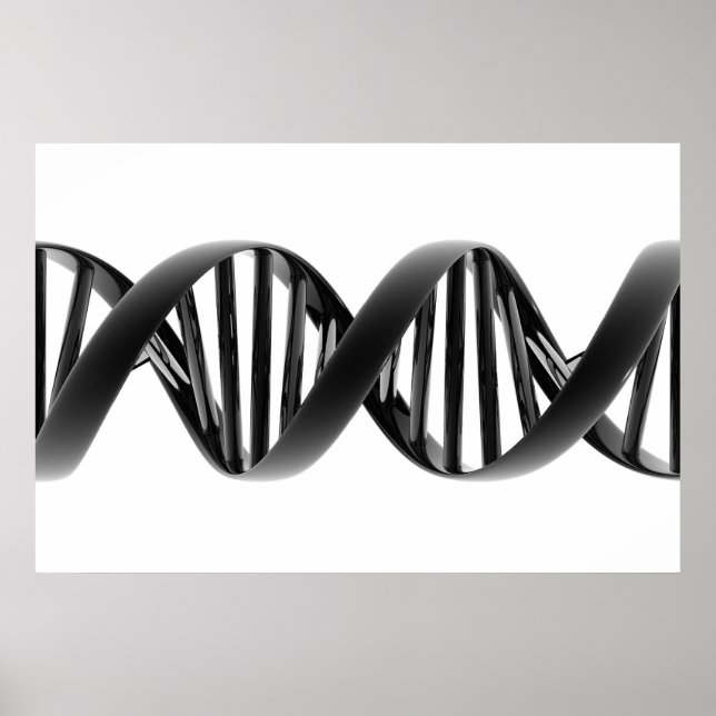 Poster Protótipo (Frente)