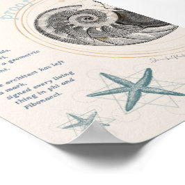 Poster Prova de seashell nautilus fibonacci design
