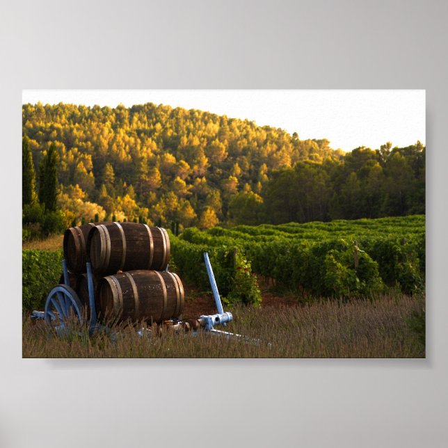 Poster Provence, França (Frente)
