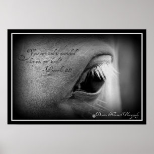 Poster Provérbios 11:17