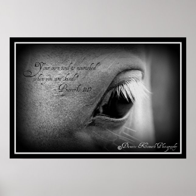 Poster Provérbios 11:17 (Frente)