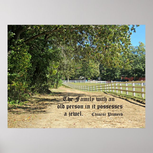 Póster Proverbo Chinês sobre o valor dos idosos. (Frente)