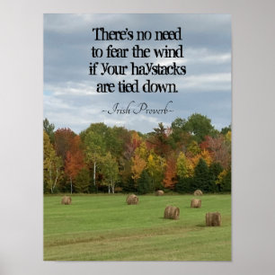 Poster Proverbo Irlandês Não é preciso temer o vento d