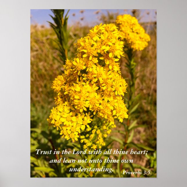 Poster Proverbos 3:5 Bíblia verso (Frente)