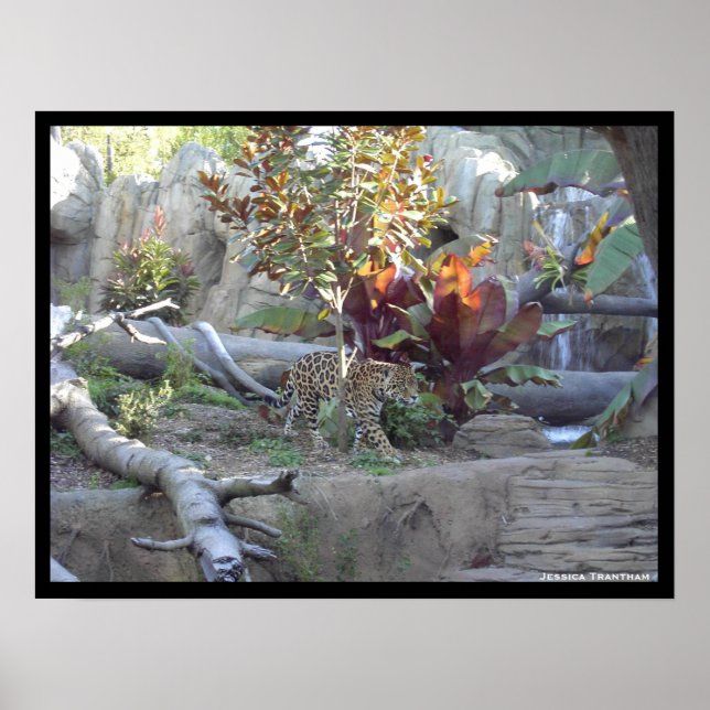 Póster Prowl (Frente)