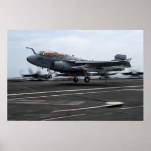Póster Prowler EA-6B