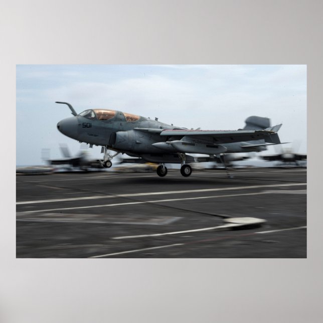 Póster Prowler EA-6B (Frente)