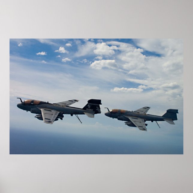Póster Prowler EA-6B (Frente)