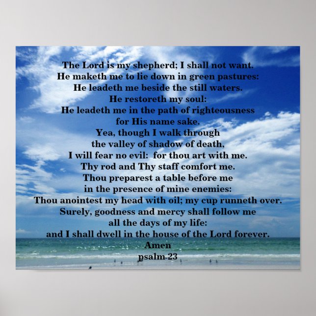 Poster PSALM 23 (Frente)