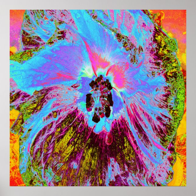 Poster Psicodélico Cornflower Blue e Magenta Hibiscus (Frente)