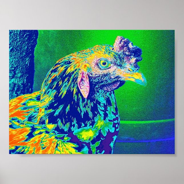 Poster "Psychedelic Rooster" (Frente)