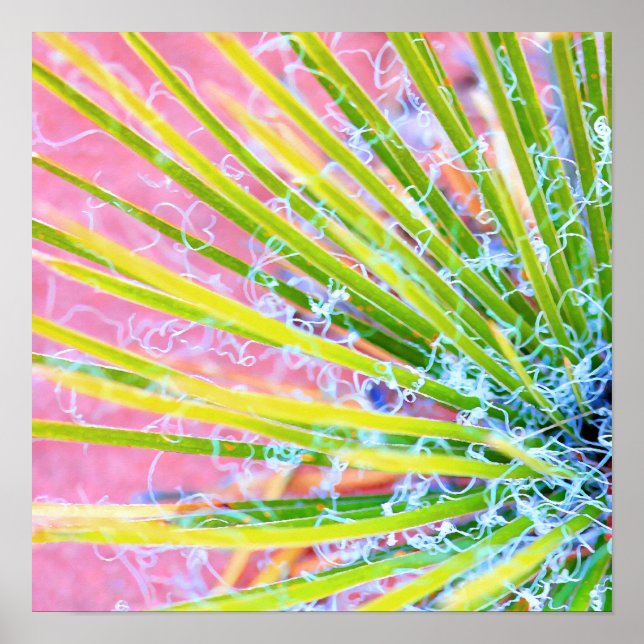 Póster Psychedelic Yucca (Frente)