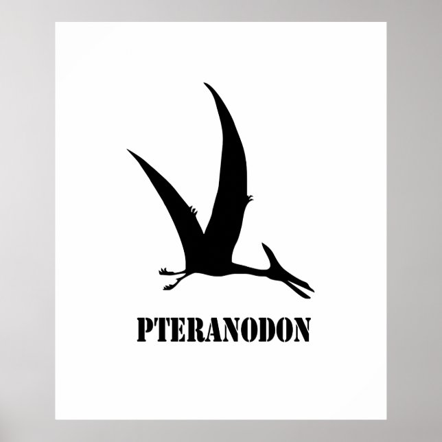 Poster pteranodon (Frente)