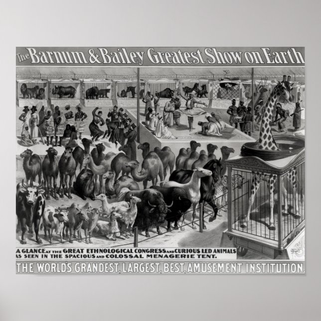 Poster publicando: 'Barnum e Bailey (Frente)