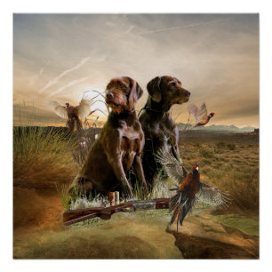 Póster Pudelpointers, faisão