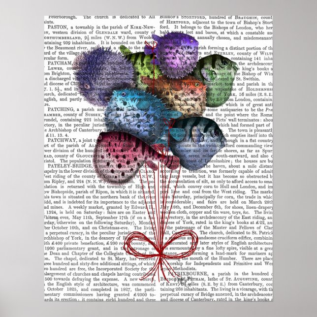 Poster Puffer Fish Balloons (Frente)