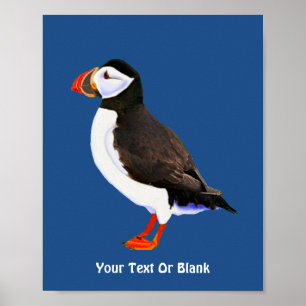 Poster Puffin Atlântico