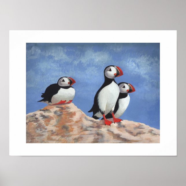 Poster Puffin Trio (Frente)