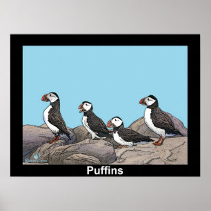 Poster Puffins Atlântico