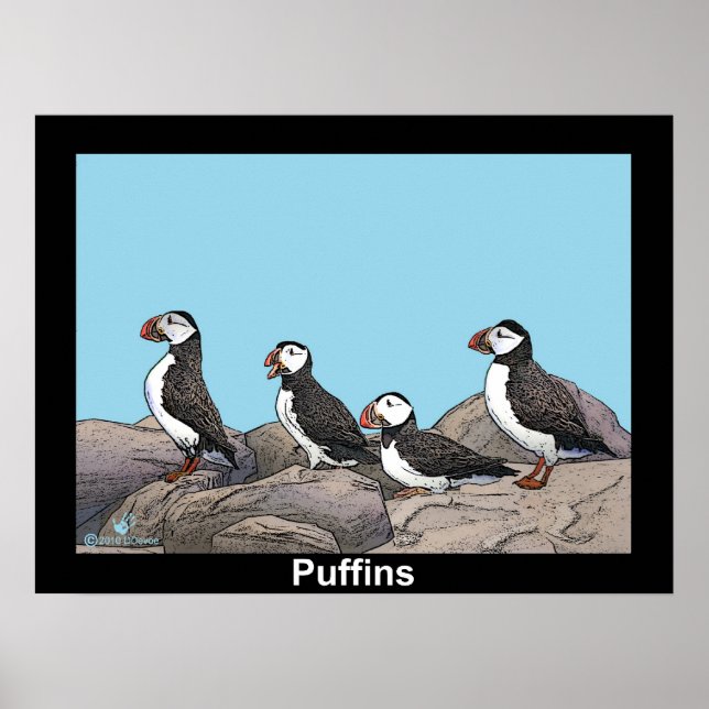 Poster Puffins Atlântico (Frente)