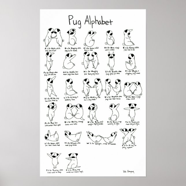 Póster Pug Alphabet A-Z com Rhyme (Frente)