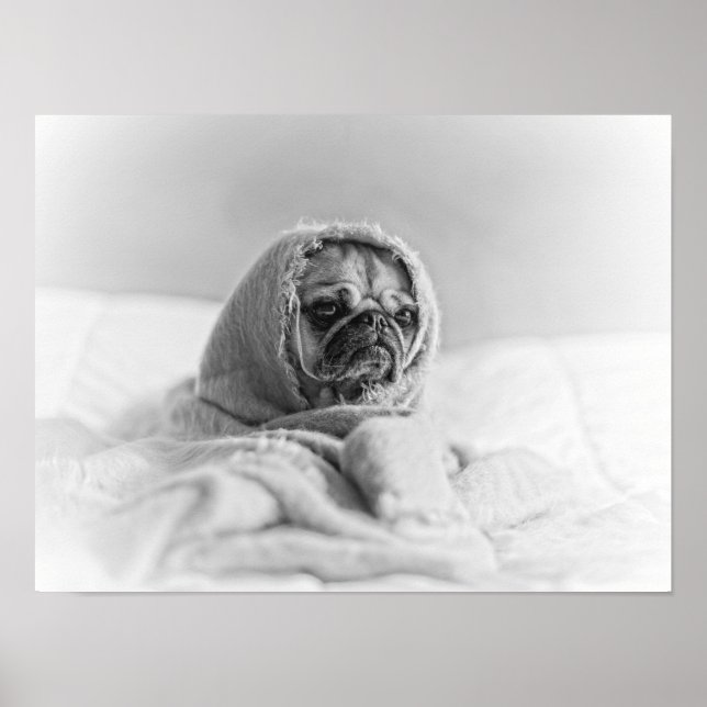 Póster Pug Antigo País (Frente)