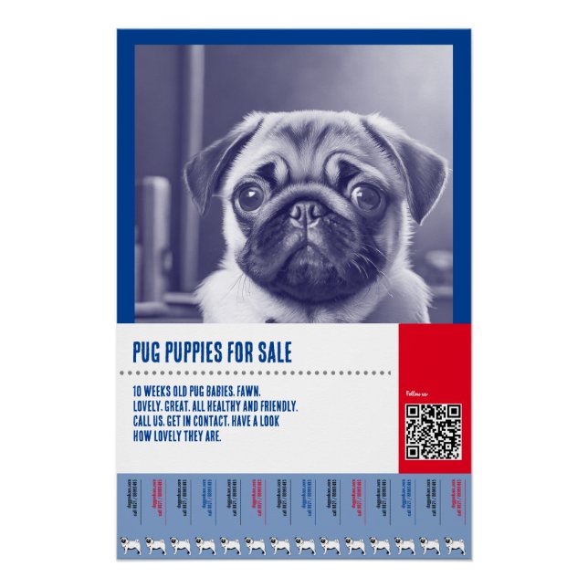 Póster Pug cachorrinho para venda de modelos de folheto (Frente)