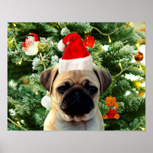 Poster Pug Cachorro Cachorro Pomada em Árvore de Natal Sn