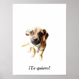 Poster Pug Chihuahua! Cachorro